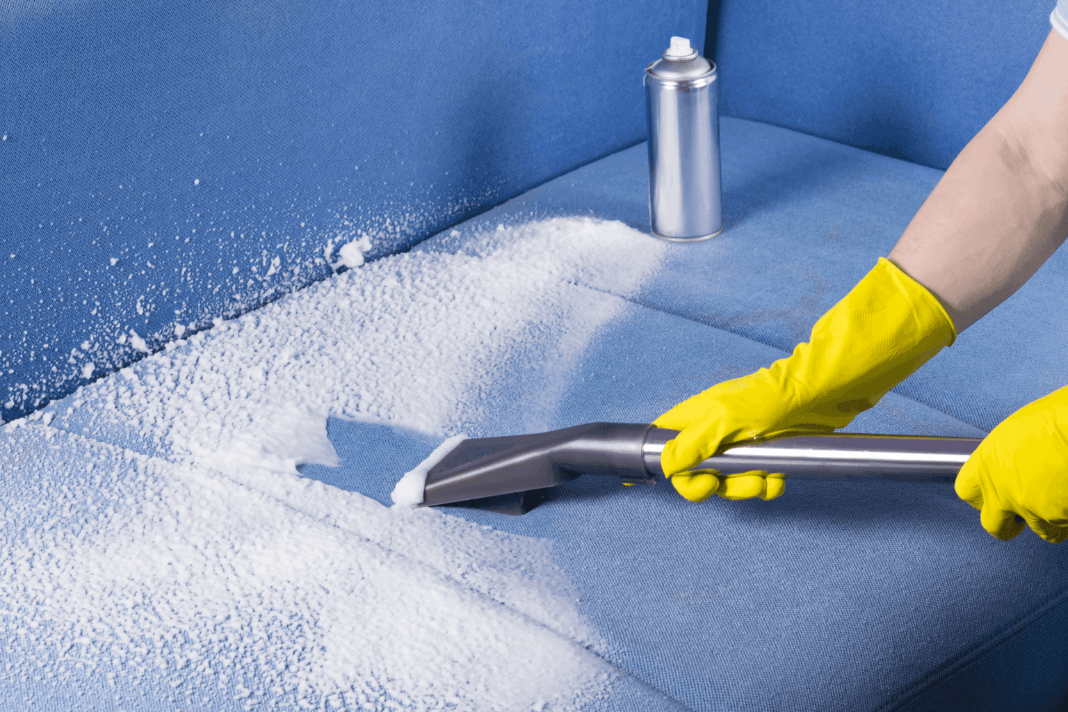 Upholstery Cleaning